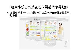 化妝品牌市場策劃PPT模板