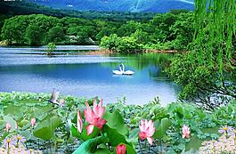 風(fēng)景圖片