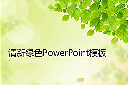 超清新淡雅綠色葉子背景