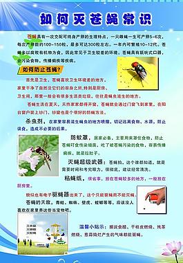如何滅蒼蠅常識圖片