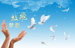 放飛
