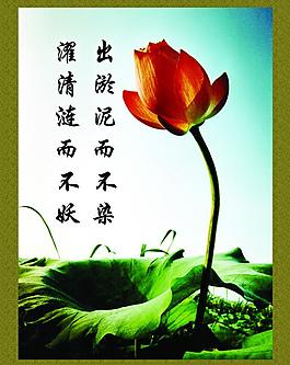 法院 检查院图片
