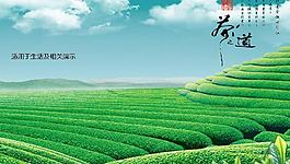 茶道茶園PPT模板