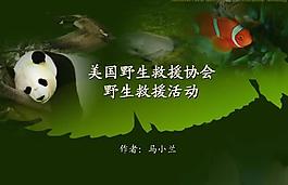野生救援活动公益PPT模板