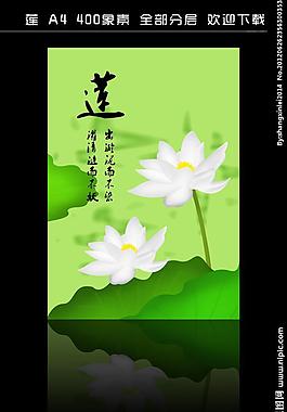 蓮花圖片