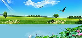 風(fēng)景圖片