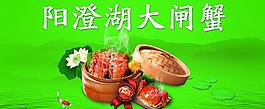陽(yáng)澄湖大閘蟹圖片