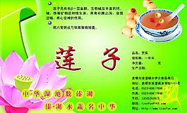 蓮子圖片