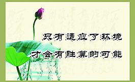 企業(yè)文化圖片