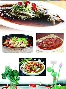菜譜圖片