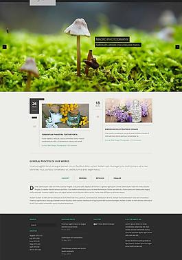 清新植物網頁CSS模板