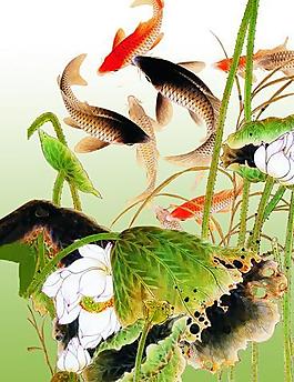 荷魚圖片