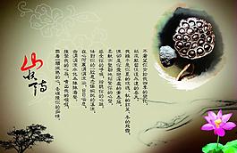 中國傳統文化 蓮子圖片