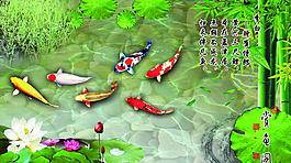 賞魚圖圖片