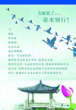 头雁累了图片