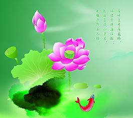 荷韻圖片