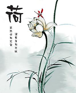 荷韻圖片