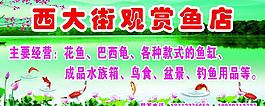 魚店海報(bào)圖片