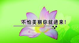 名片圖片
