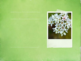 植物學ppt模板免…