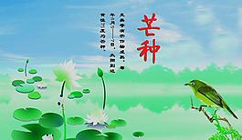 節氣圖片