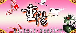 重陽(yáng)節(jié)圖片