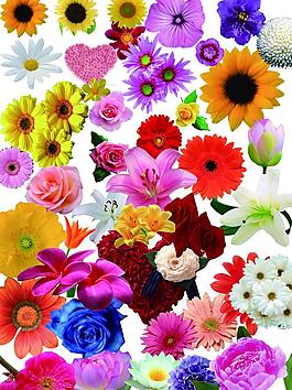 花朵素材图片