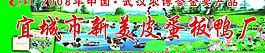 皮蛋板鴨廠招牌設計圖片
