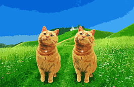 猫咪