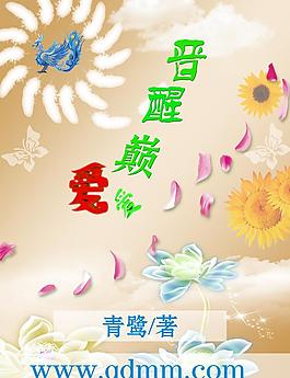 小說封面圖片