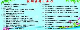 控煙小知識圖片