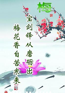 梅花圖片