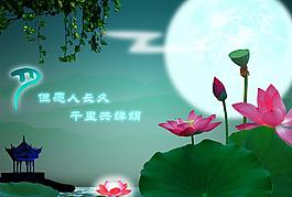 但愿人長久圖片