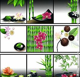 綠植無框畫圖片