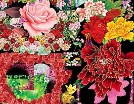 花素材圖片