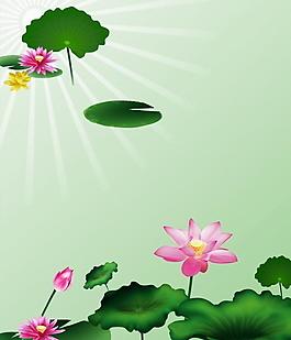 莲花图图片