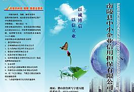 信用擔(dān)保公司三折頁正面圖片