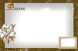 2010年婚紗模板圖片