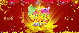 2010 虎年图片