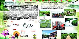 夏令營宣傳單圖片