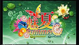 魅力夏天圖片
