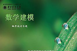 统计专题ppt