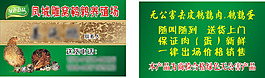笨雞蛋名片