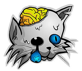 小猫