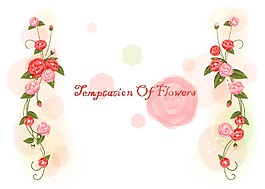 唯美的玫瑰花