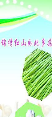水果圖片
