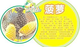 水果圖片