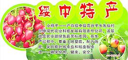 水果图片