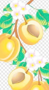 水果圖片