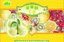 水果包裝圖片